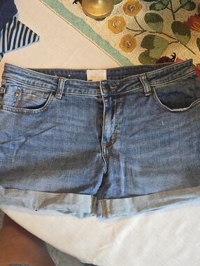 Caslon Classic Denim Cuffed Shorts - Blue